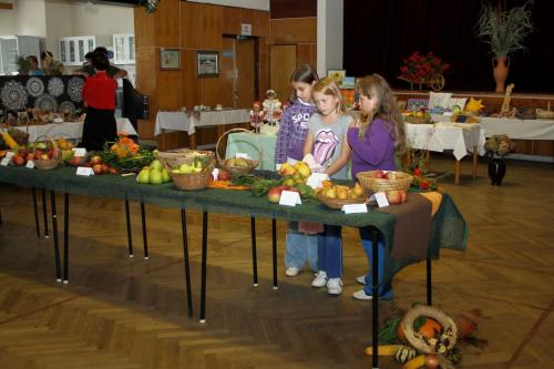 Výstava ovoce, zeleniny, ručních prací 2012